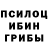 Галлюциногенные грибы прущие грибы Fixer First