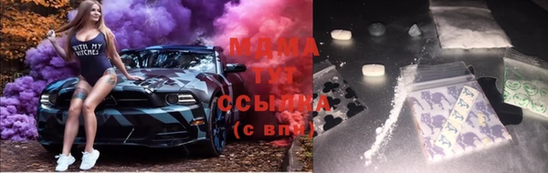 прущие грибы Кулебаки