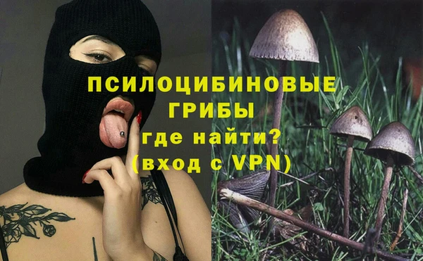 прущие грибы Кулебаки